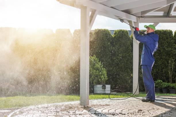 Best Building Exterior Pressure Washing in Jackson, MN