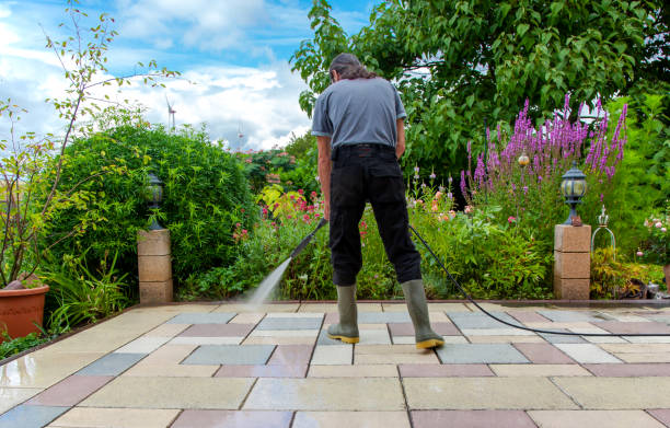 Best Roof Cleaning and Mildew Removal in Jackson, MN