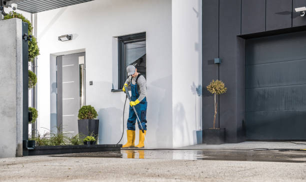 Best Fence Cleaning and Maintenance in Jackson, MN