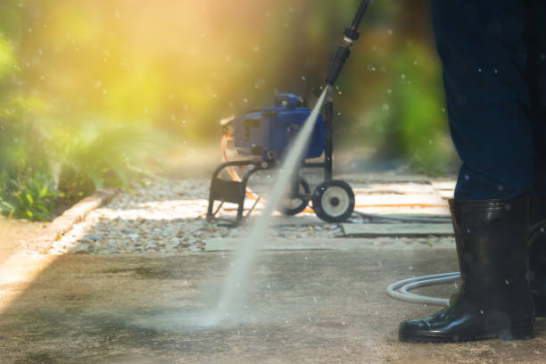 Best Gutter Cleaning and Brightening in Jackson, MN